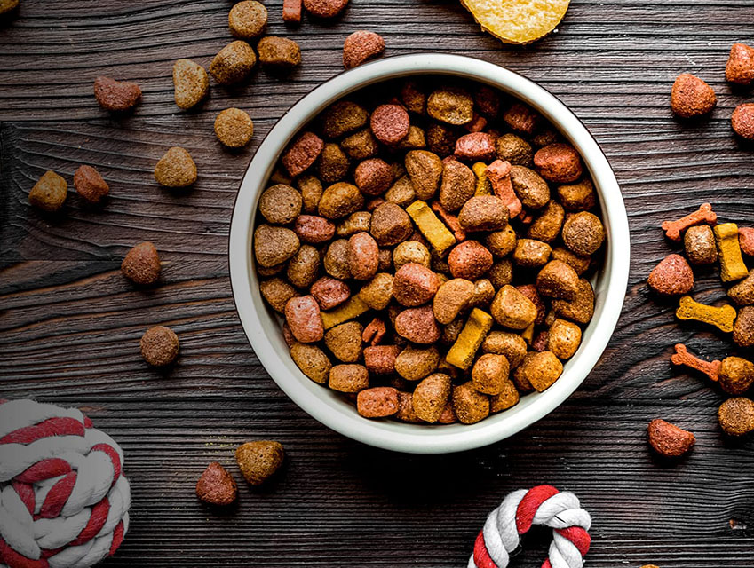 Pet food containing nutritious rendered ingredients